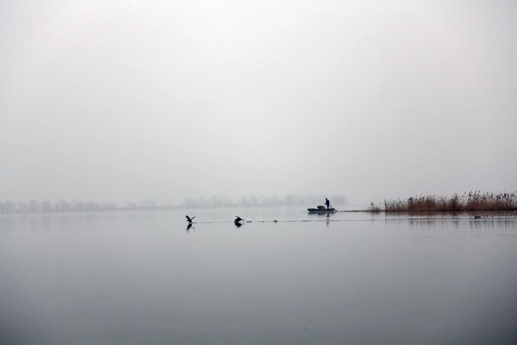 衡水湖 摄影 沧浪秋吟