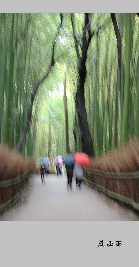 岚山雨 2010（070） 摄影 满世界