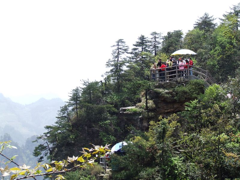 张家界一景 摄影 依念