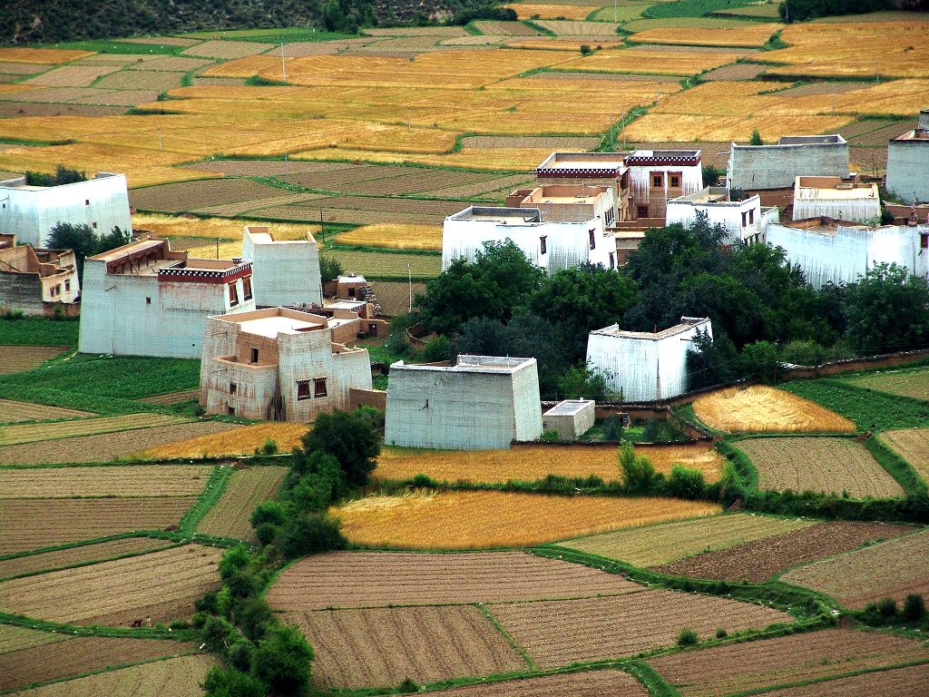 田园 摄影 康顺