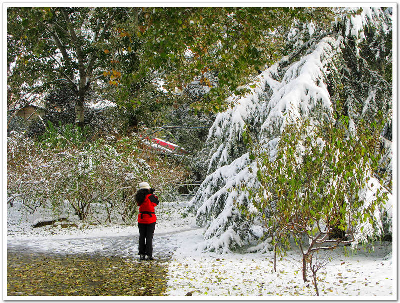 拍摄雪景 摄影 灵丹