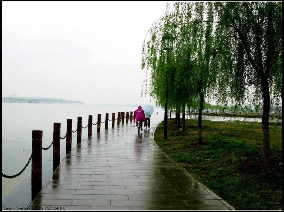 风雨人生 摄影 清风秋月