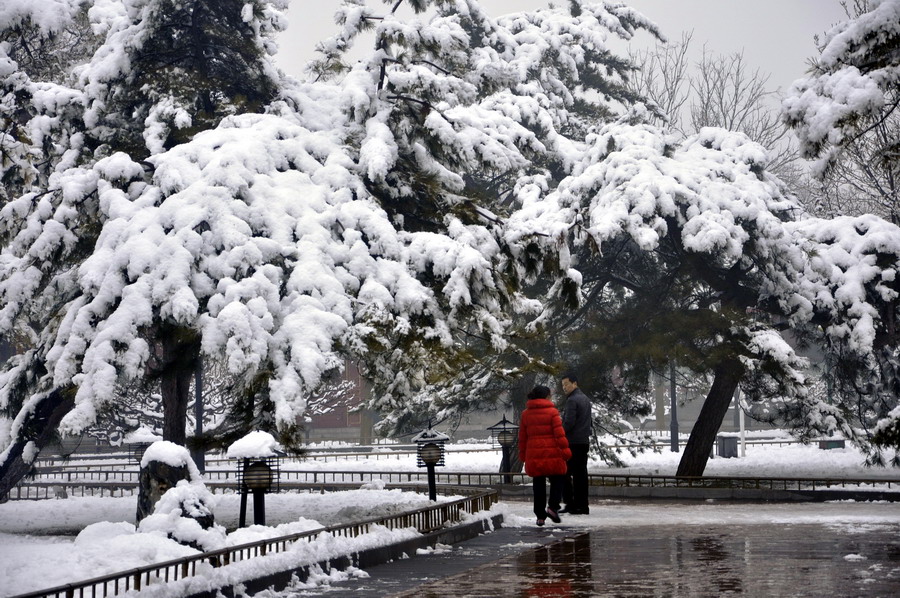 颐和园雪景-大雪压枝 摄影 快乐独行侠