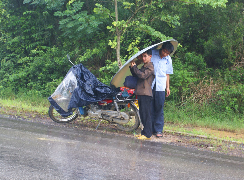 紧急避雨. 摄影 刘金有