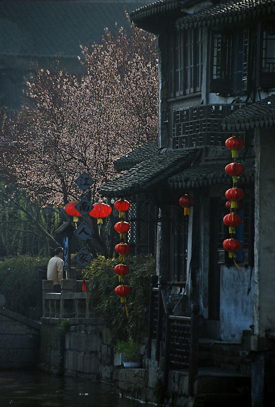 夜阑人静独享梅 摄影 痴心