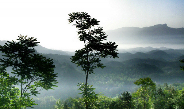 晨曦 摄影 巴山游子