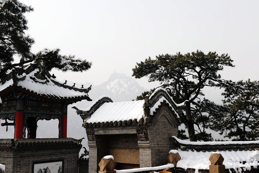 冬雪 摄影 秋叶雨荷