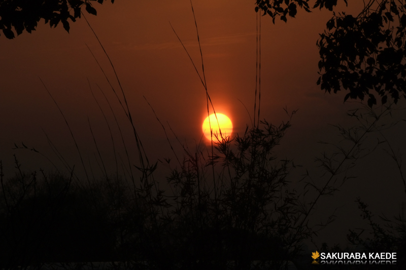 夕阳 摄影 SakurabaKaed