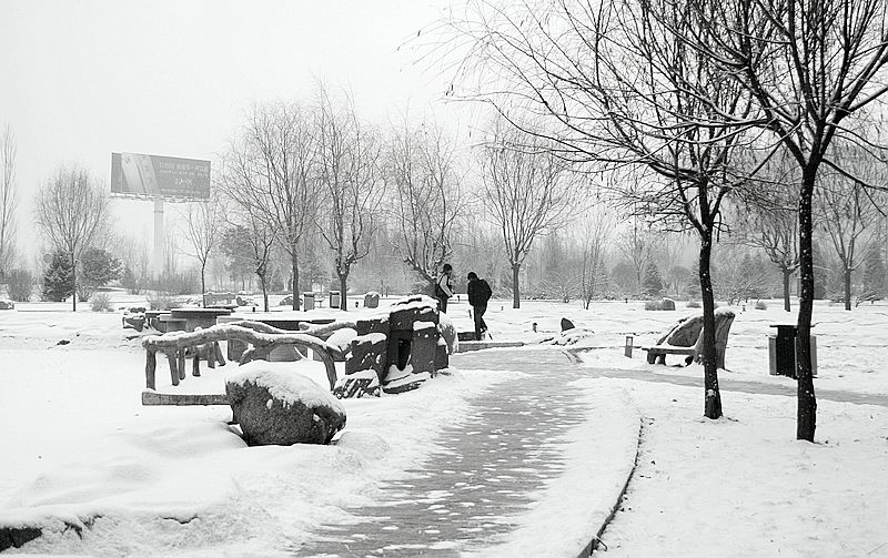 春雪 摄影 月儿湾湾