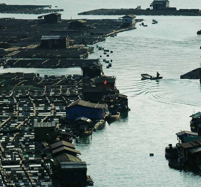 海上人家 摄影 寂寞海