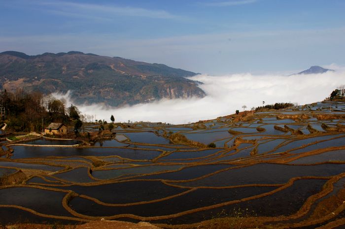 金边兰梯田 摄影 天方地圆