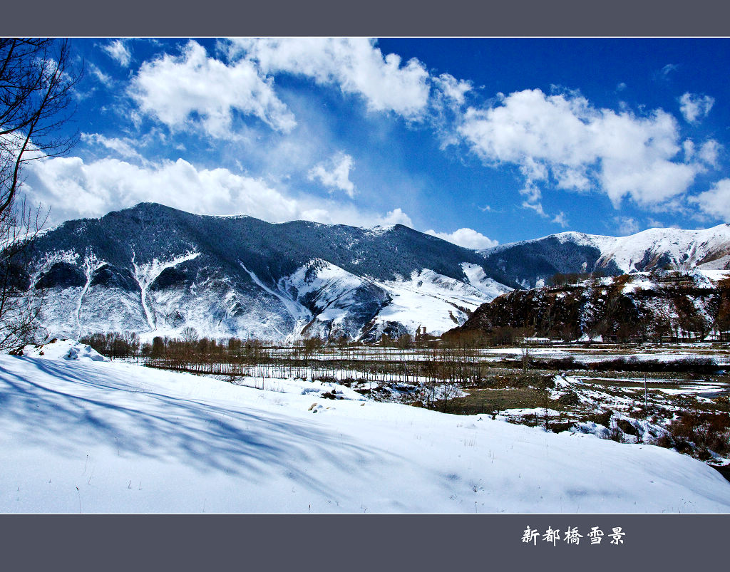 新都桥雪景 摄影 youzong