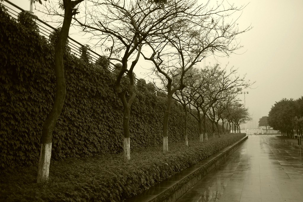 落雨扫街 摄影 爱琴海岸