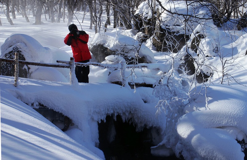 醉拍雪域长白山 摄影 岳桦