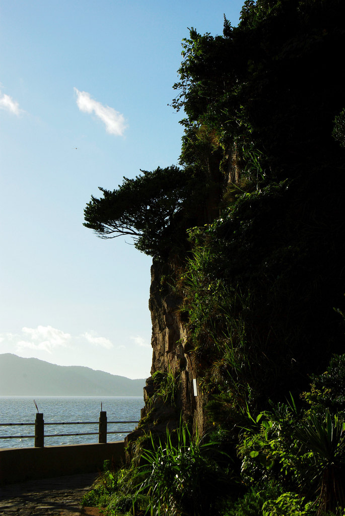 莲花洋之晨１ 摄影 海山掠影