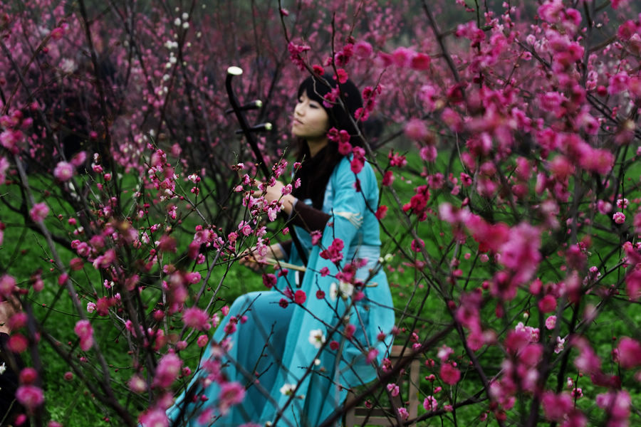 梅园倩影 摄影 红黄幻觉