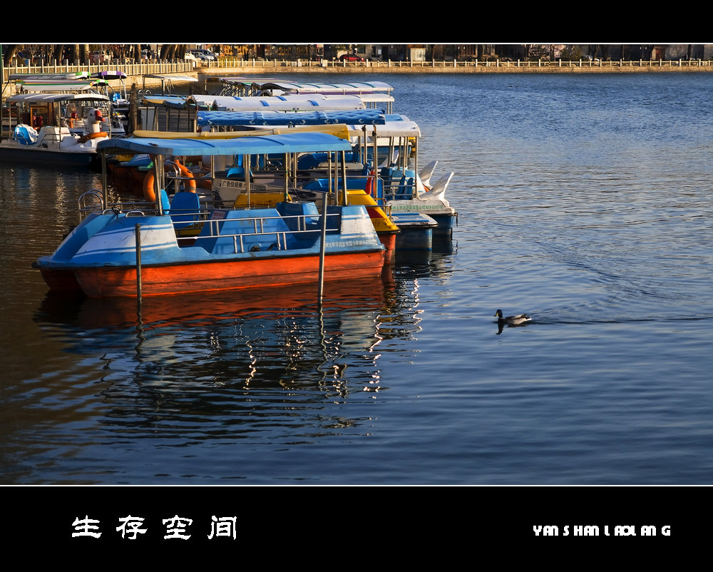 生存空间 摄影 燕山老狼