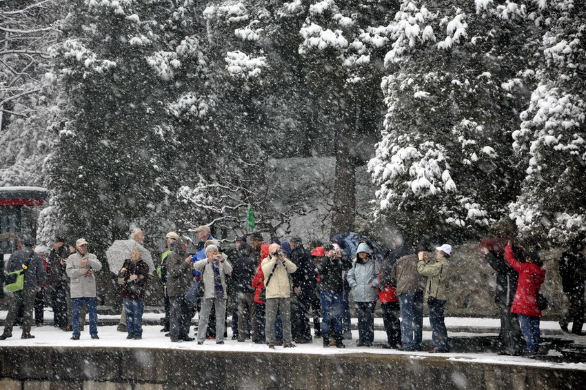 风雪颐和园 摄影 快乐独行侠