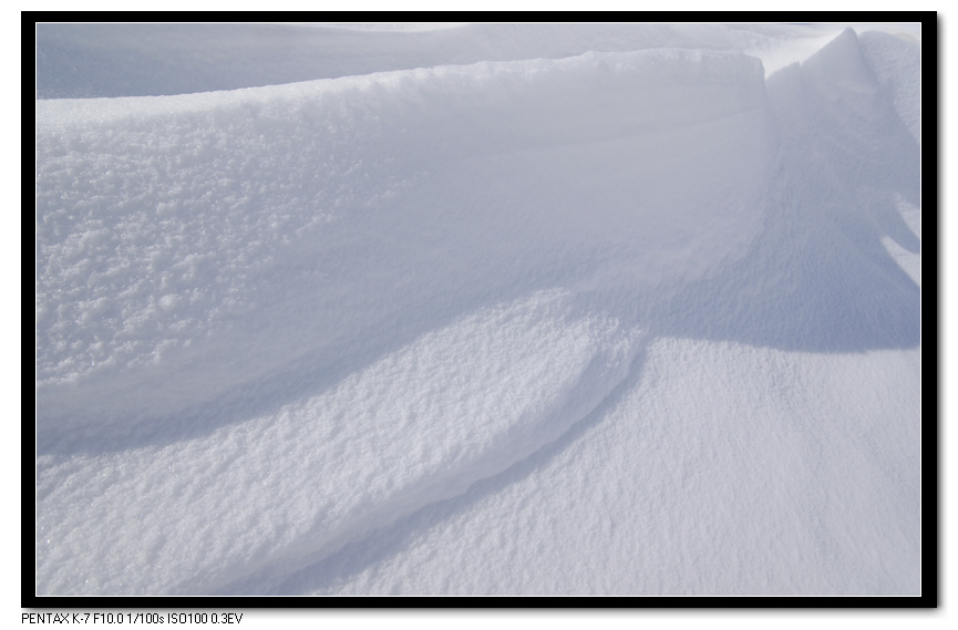 雪 韵 摄影 雪色年华