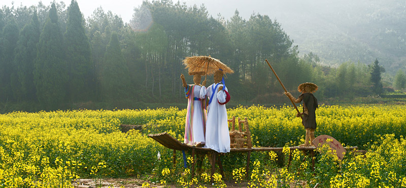 油菜花 摄影 冰点00