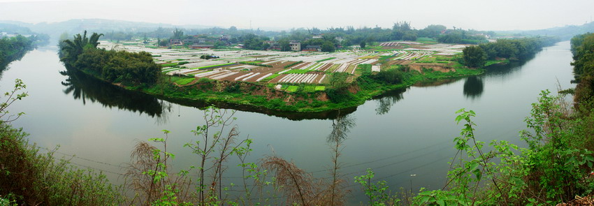 蔬菜基地 摄影 艾舍