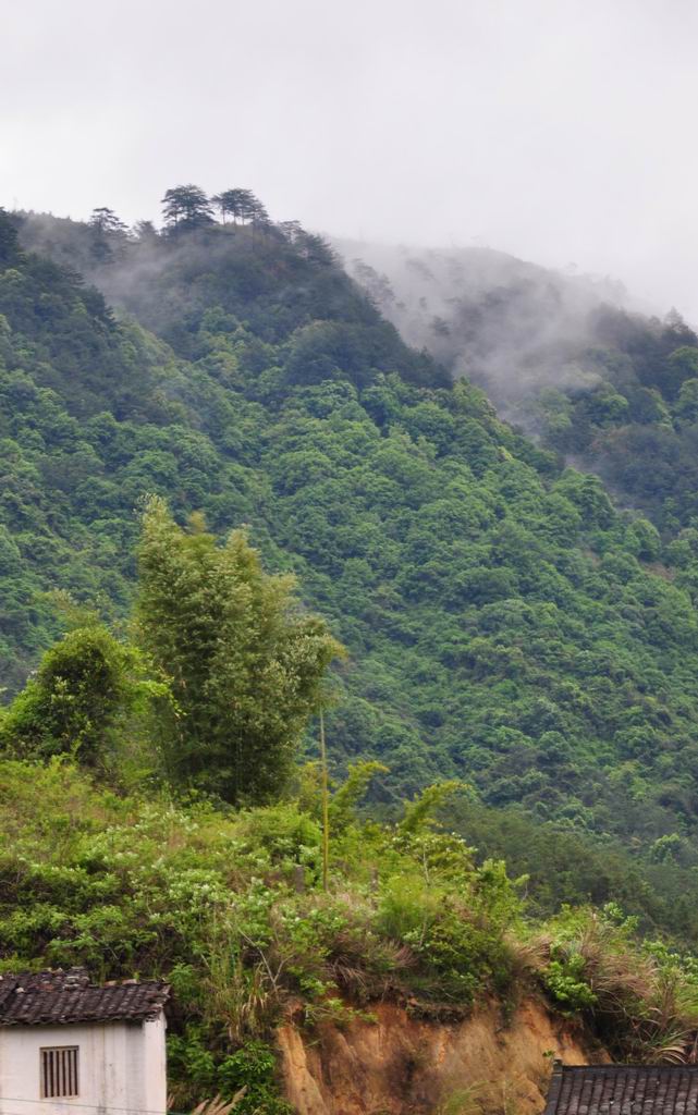 青山秀水家乡行(22） 摄影 WASON