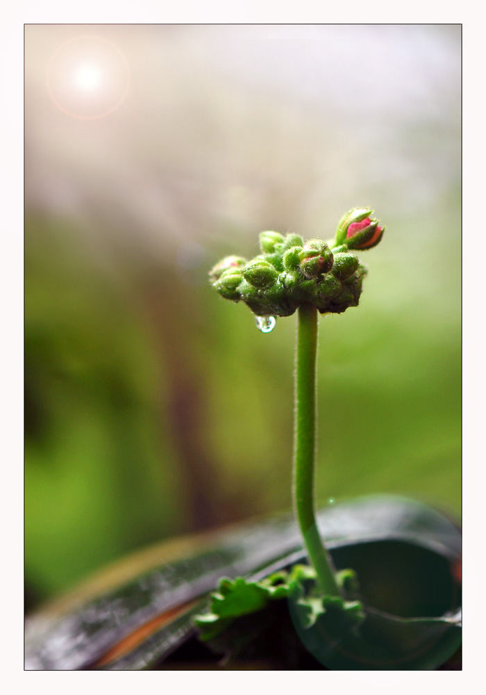 雨后 摄影 尼玛老爷