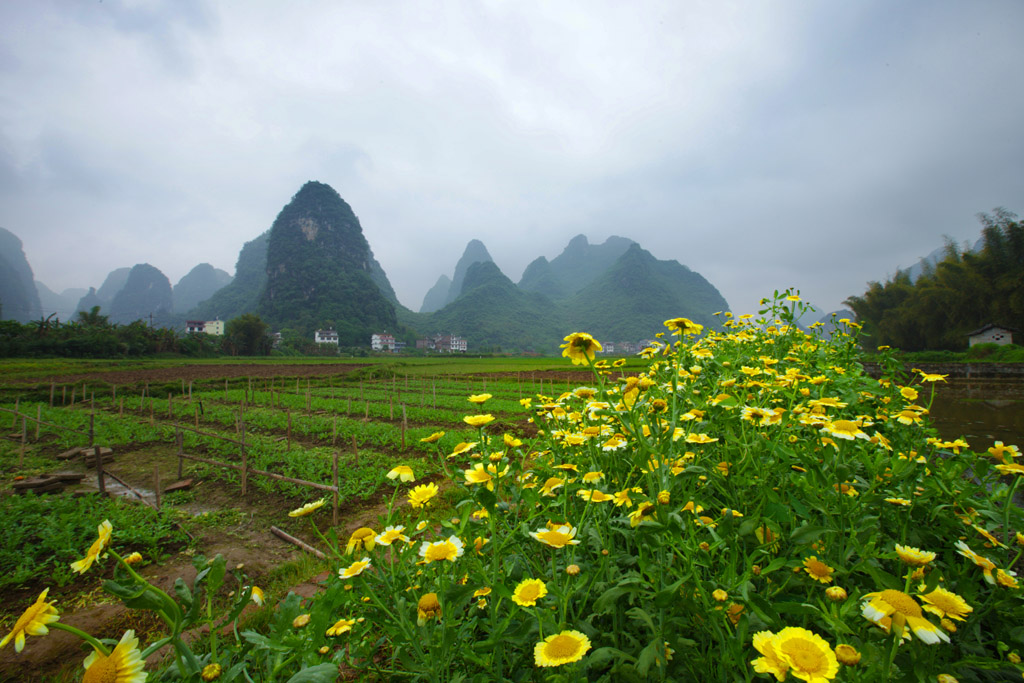 采菊东篱下 悠然见南山 摄影 车符