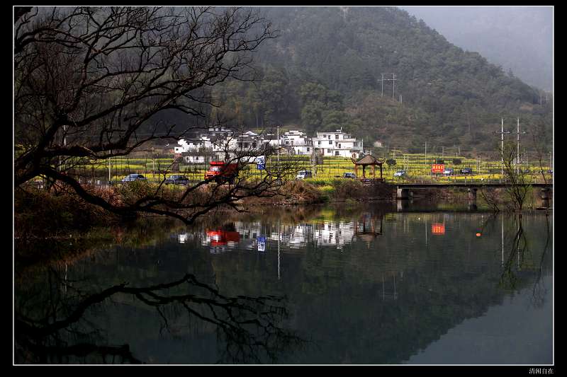 乡村 摄影 清闲自在