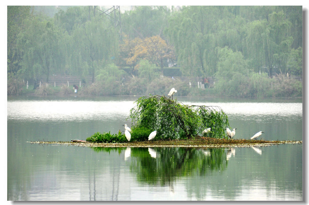 春天小景 摄影 双眸看客