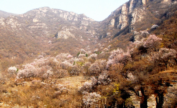 桃花谷 摄影 浅酌