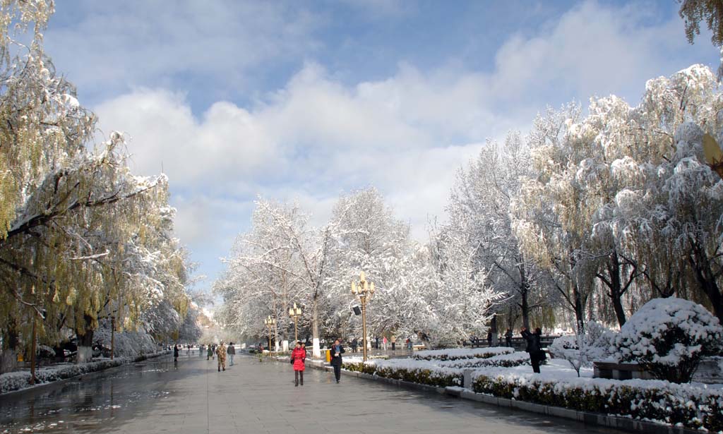 春雪 摄影 浮云流水