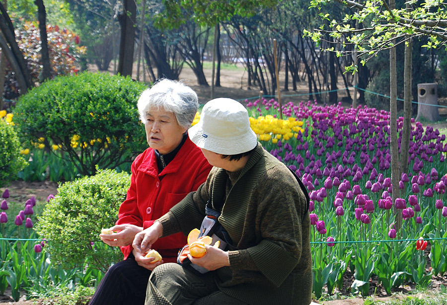 银发花前说沧桑 摄影 老学生