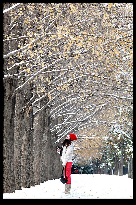 秋天里的雪 摄影 清闲自在