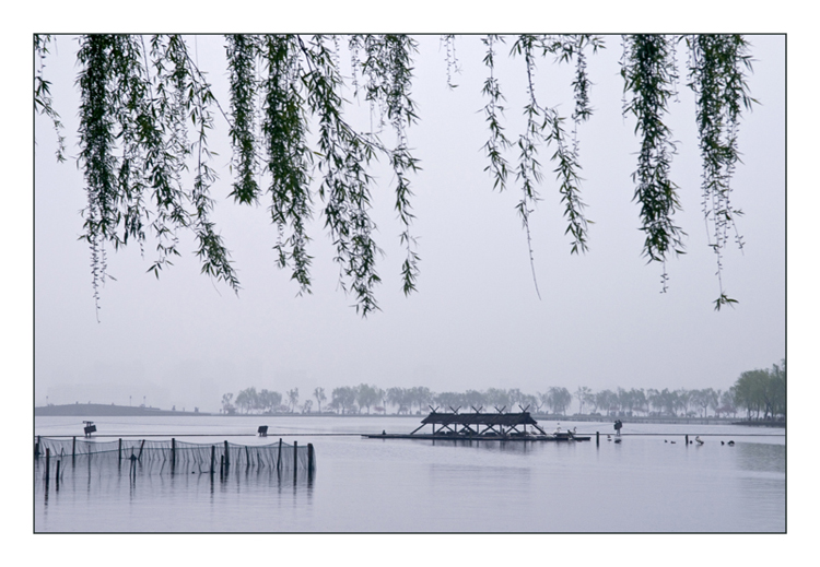 西湖春雨 摄影 蜻蜻