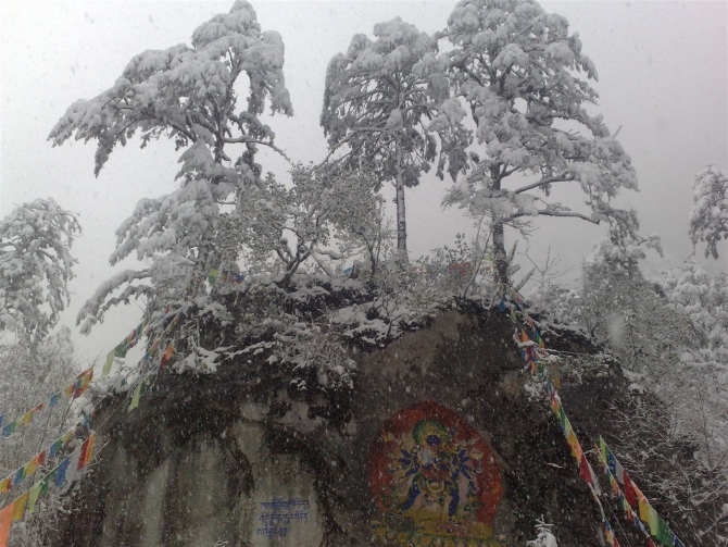 唐卡与雪树 摄影 SL游遍china