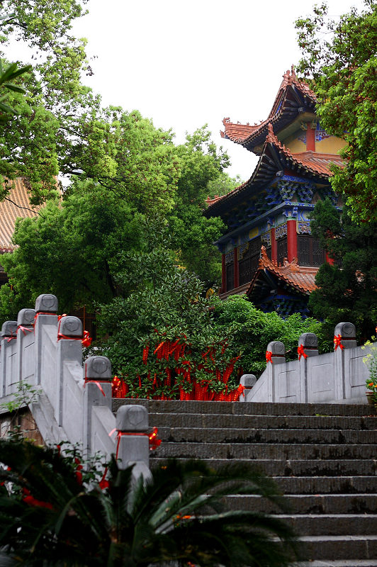 武昌宝通禅寺 摄影 無潮则清