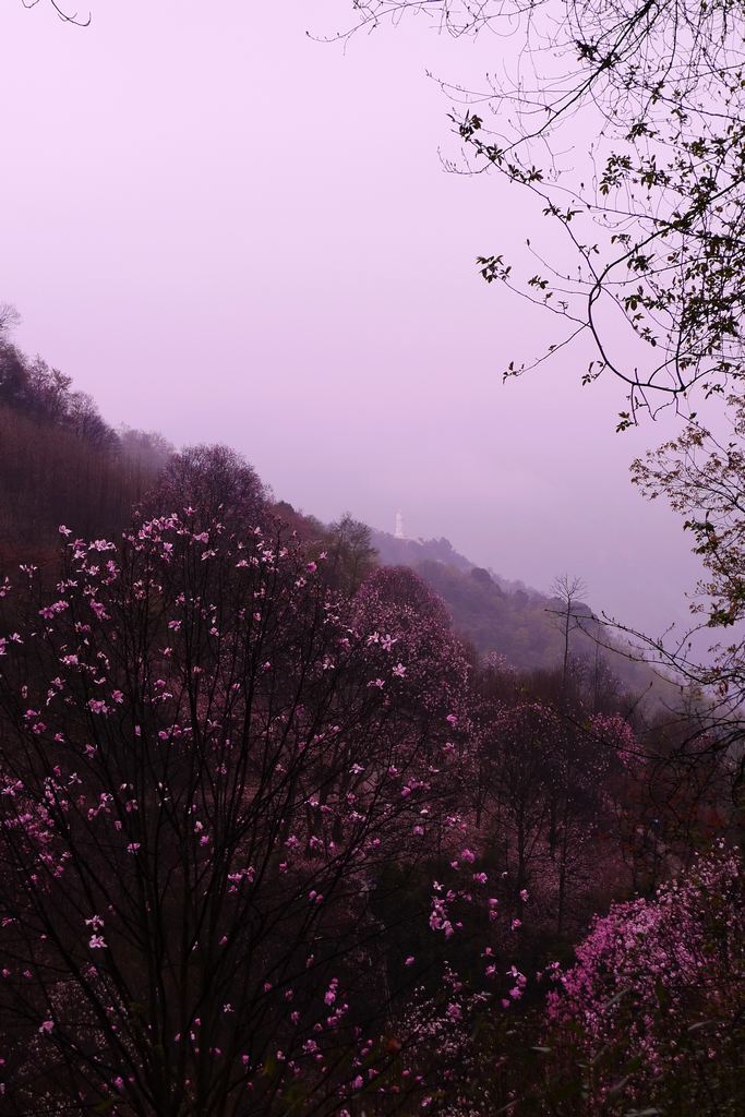 远眺药王 摄影 菲雨