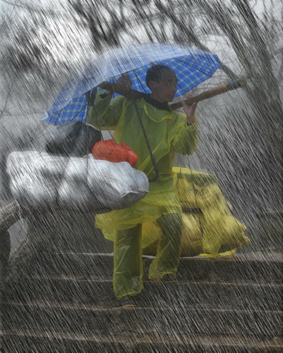 风雨兼程 摄影 瘦羚羊