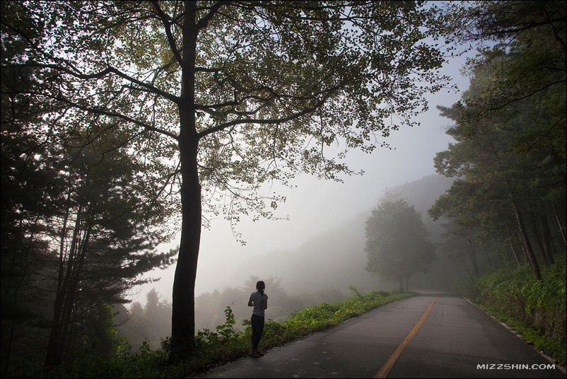 The road 摄影 辛宗秀