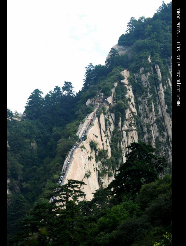 西岳华山（4） 摄影 园艺