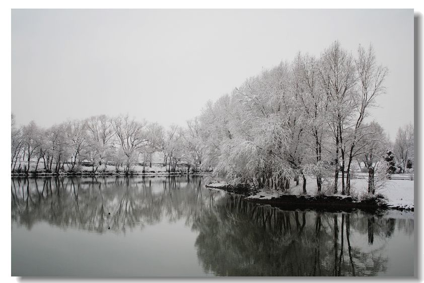 雪挂 摄影 持久战投资