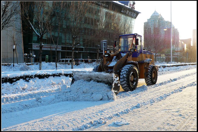 奋力清雪 摄影 春雨潇潇