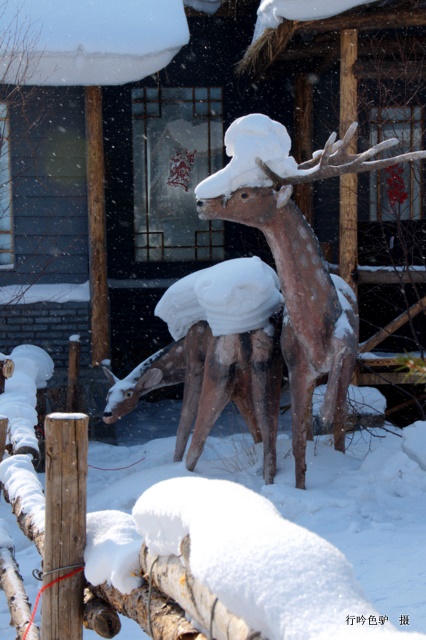 雪乡行33 摄影 蓝色驴