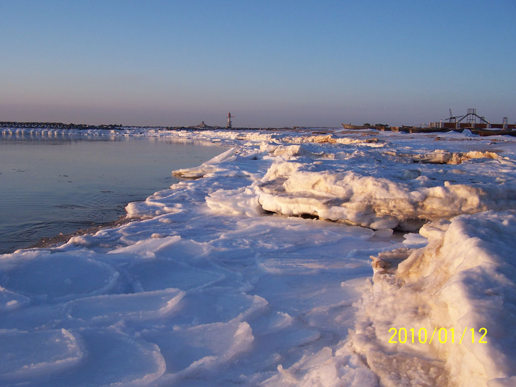 冬季的海滨 摄影 冰峰雪莲