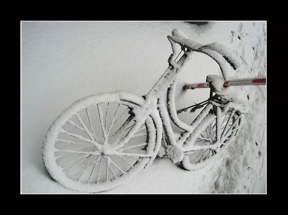 雪车(请点击看大图) 摄影 深水无澜