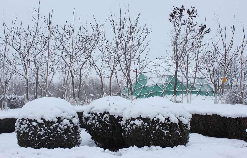 雪后随拍 摄影 付炳权