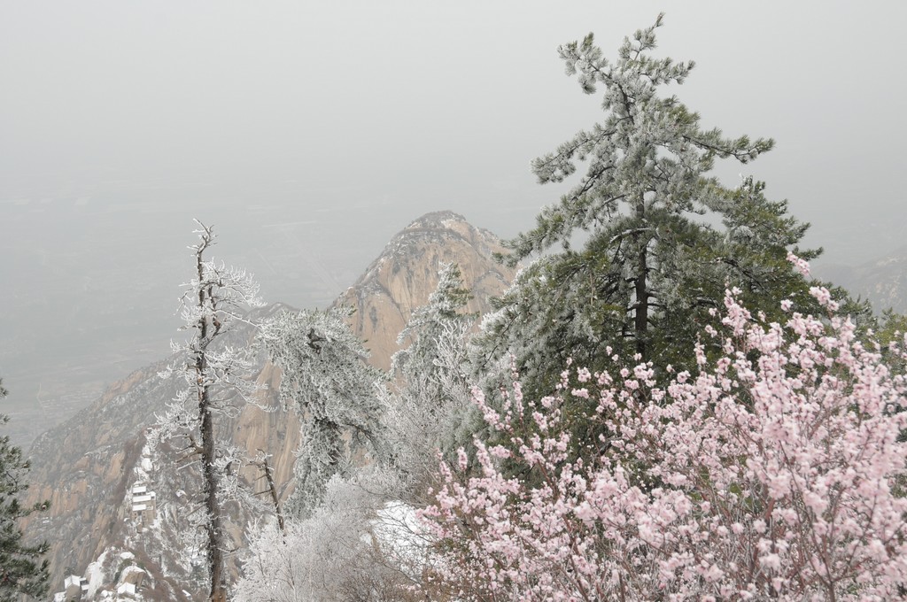 雪 摄影 平步青云