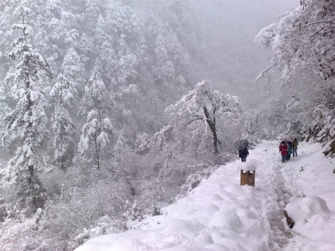 漫步雪地中 摄影 SL游遍china