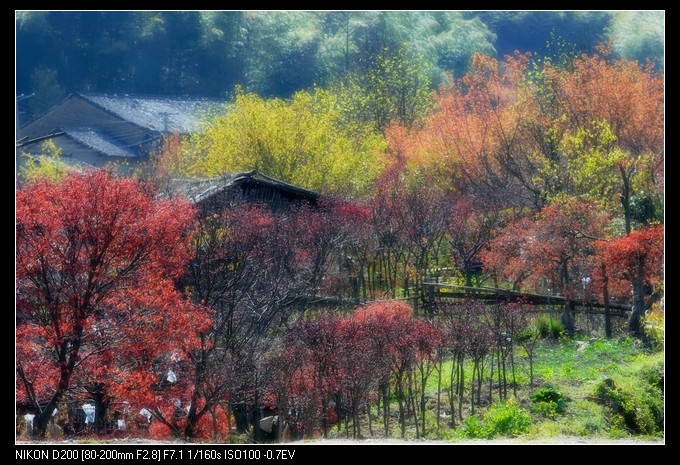 山村春色 摄影 岚山